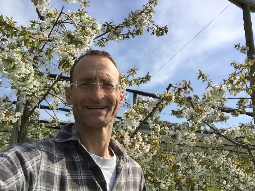 Obstanlage im Frühling